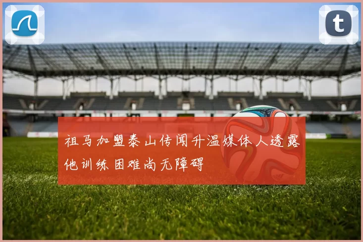 祖马加盟泰山传闻升温媒体人透露他训练困难尚无障碍