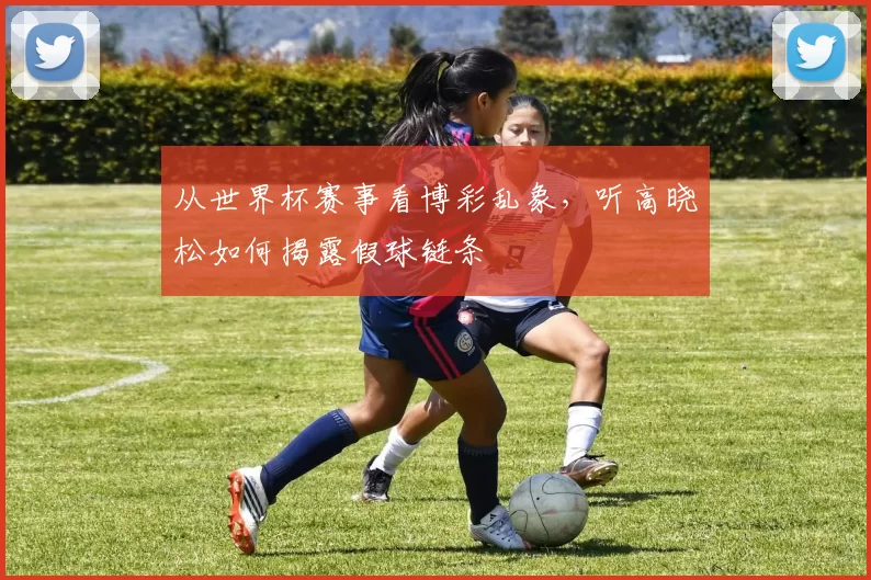 从世界杯赛事看博彩乱象,听高晓松如何揭露假球链条