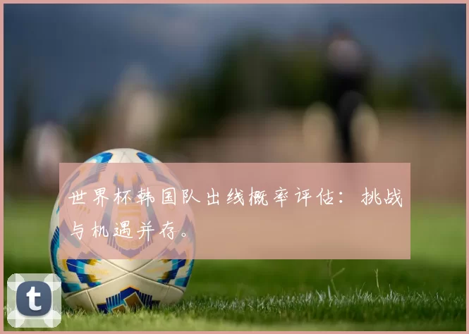 世界杯韩国队出线概率评估：挑战与机遇并存。