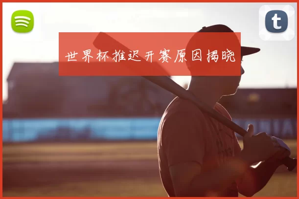 世界杯推迟开赛原因揭晓