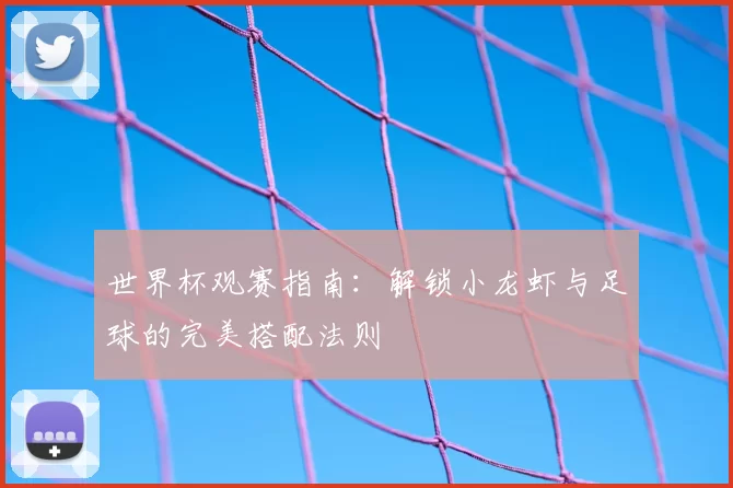 世界杯观赛指南:解锁小龙虾与足球的完美搭配法则