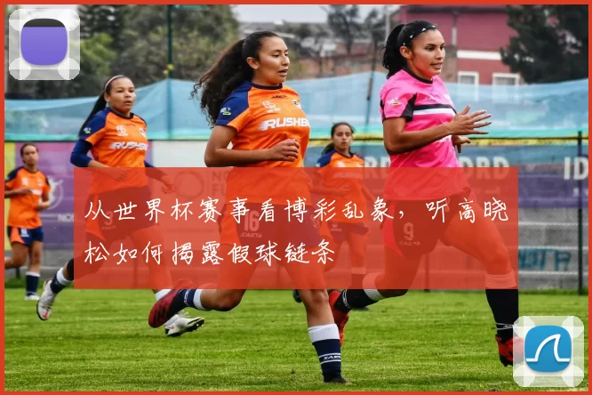 从世界杯赛事看博彩乱象,听高晓松如何揭露假球链条