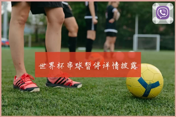 世界杯串球暂停详情披露