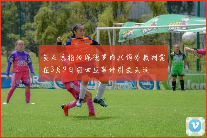 英足总指控佩德罗内托侮辱裁判需在3月9日前回应事件引发关注