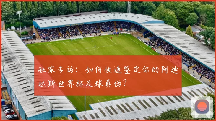 独家专访：如何快速鉴定你的阿迪达斯世界杯足球真伪？