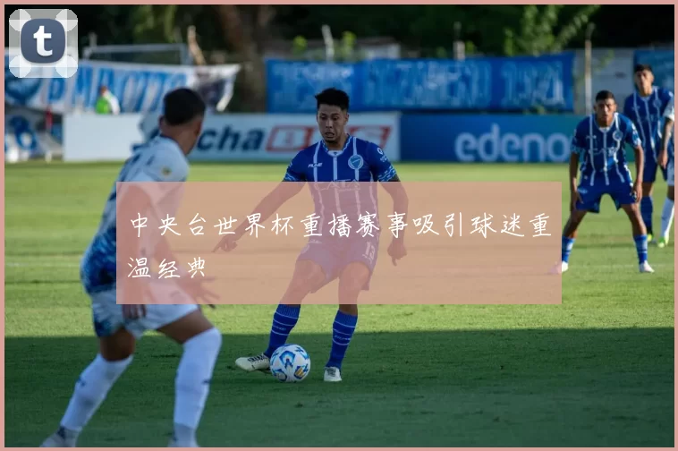 中央台世界杯重播赛事吸引球迷重温经典