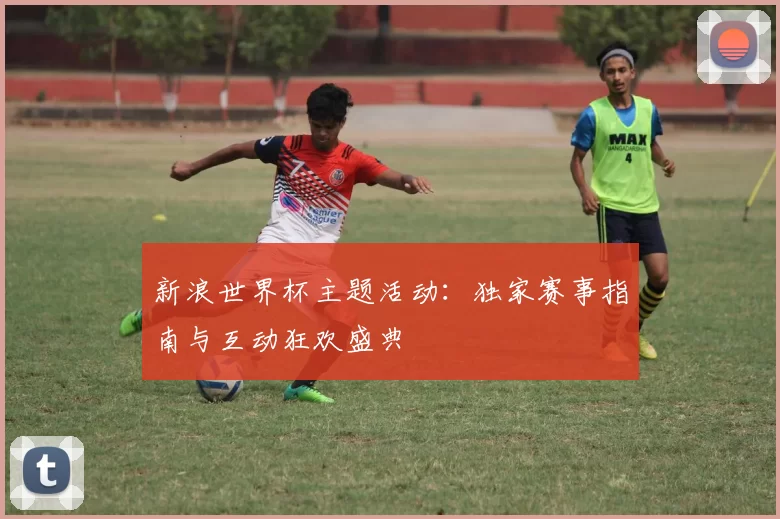 新浪世界杯主题活动：独家赛事指南与互动狂欢盛典