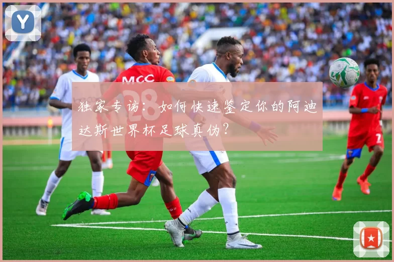 独家专访：如何快速鉴定你的阿迪达斯世界杯足球真伪？